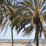 Beach - Malaga Spanish School