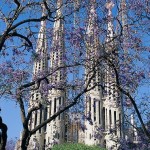 Spanish Courses in Barcelona - Sagrada Familia