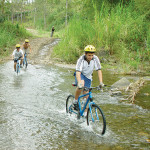 COSI Manuel Antonio Activity