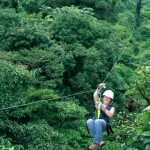 Canopy Tour - COSI San Jose