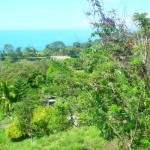 Spanish School in Manuel Antonio