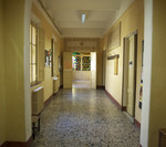 Centro Internazionale Dante Alighieri