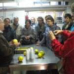 Accademia Italiana Salerno - Limoncello Factory Excursion