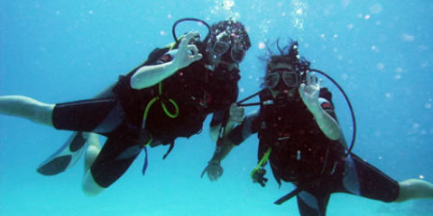 Spanish and diving courses in Playa del Carrmen